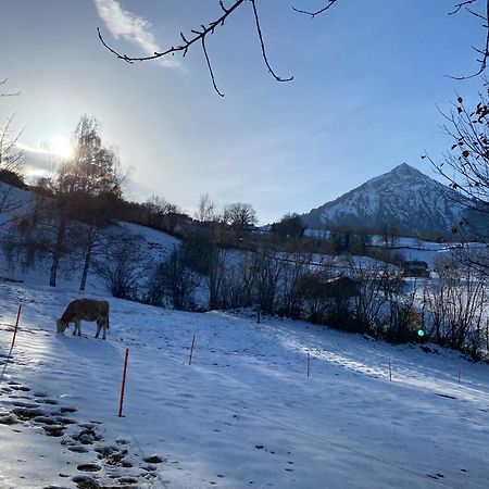 Herrlicher Blick Auf Berge Und See Faulensee Bagian luar foto