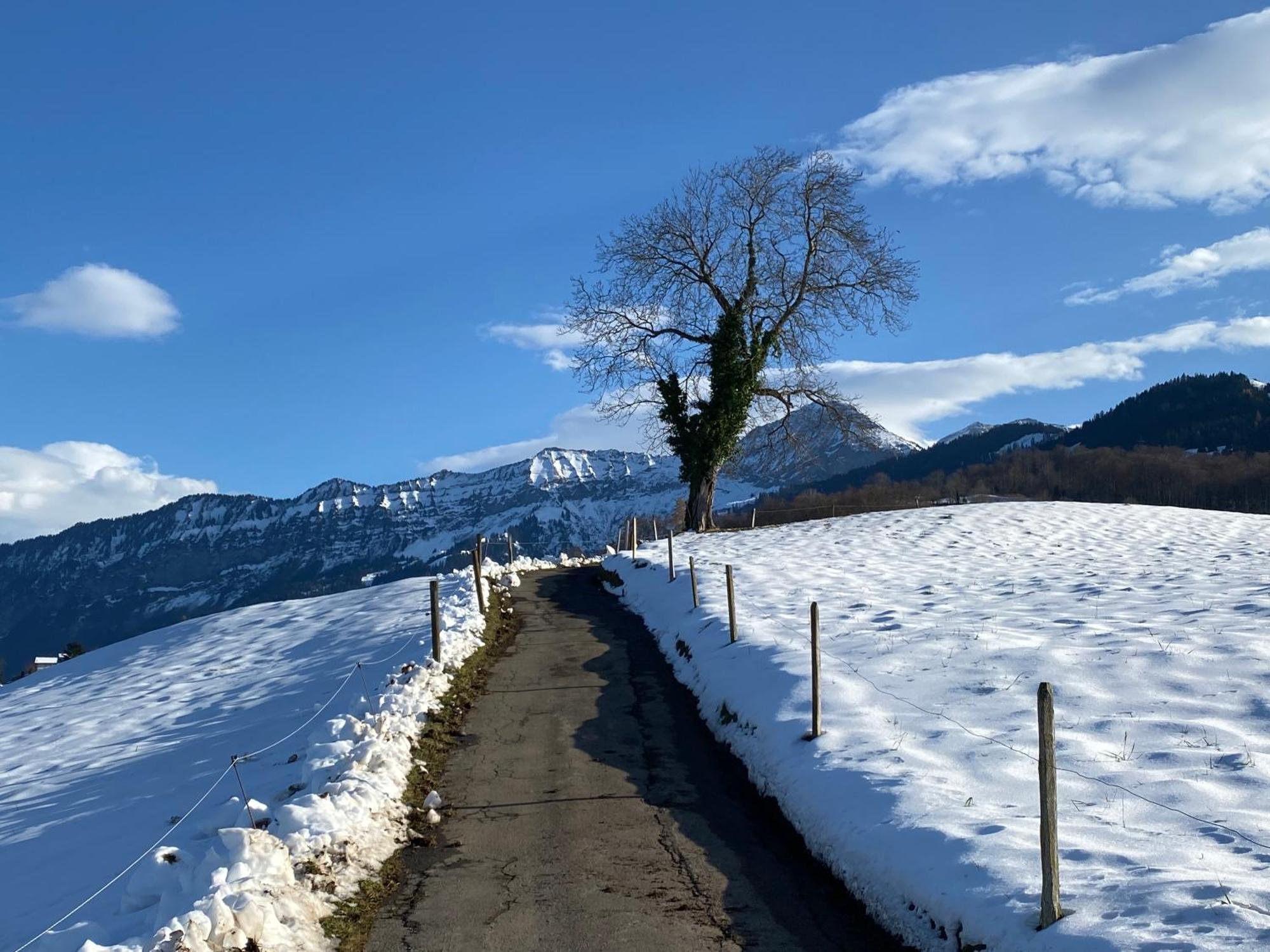 Herrlicher Blick Auf Berge Und See Faulensee Bagian luar foto